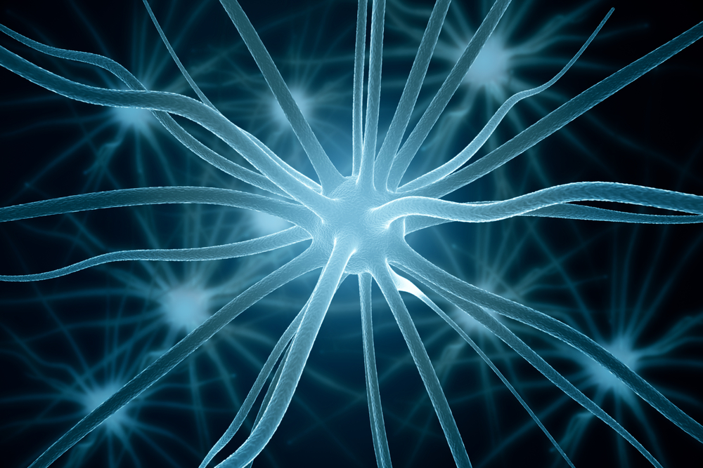 INFANT Research Centre / School of Mathematical Sciences PhD Scholarship Opportunity (2 Positions)