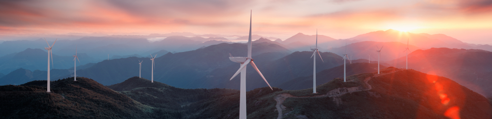 Niamh Burke Bursary in Renewable Energy