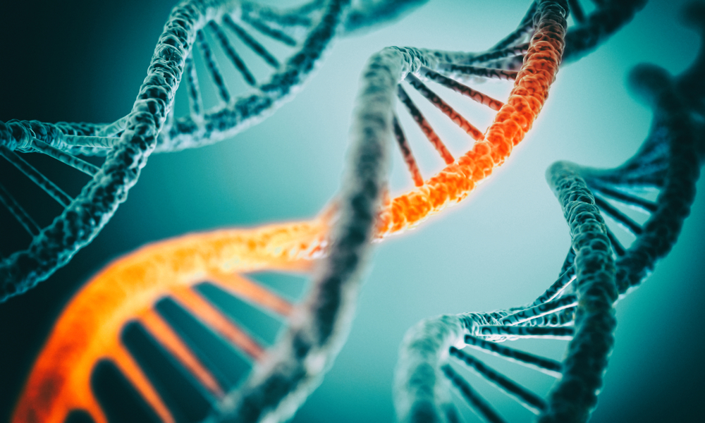 Postdoctoral Researcher in Molecular Biology & Postdoctoral Researcher in Metagenomics