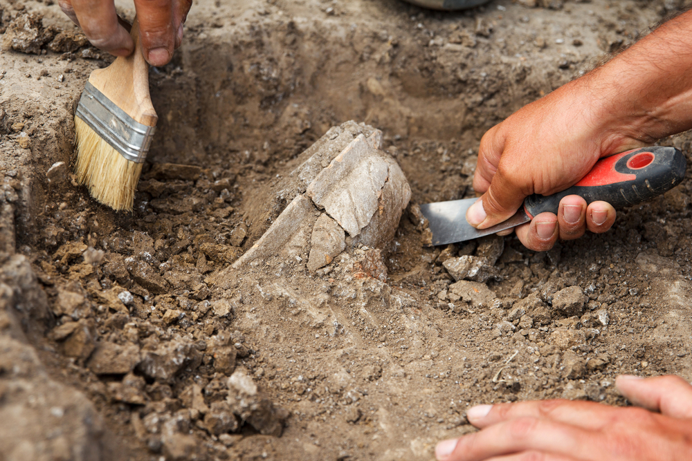 2.2 million INSTAR+ Archaeological Research Programme