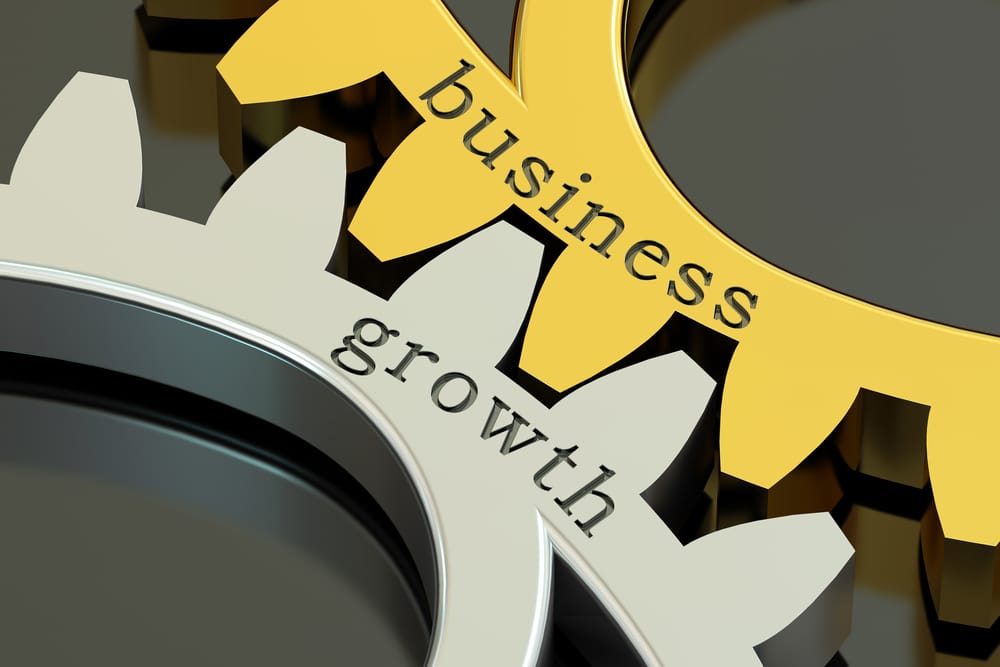 Eric Flamholtz PhD Scholarship on Business Growth and Development