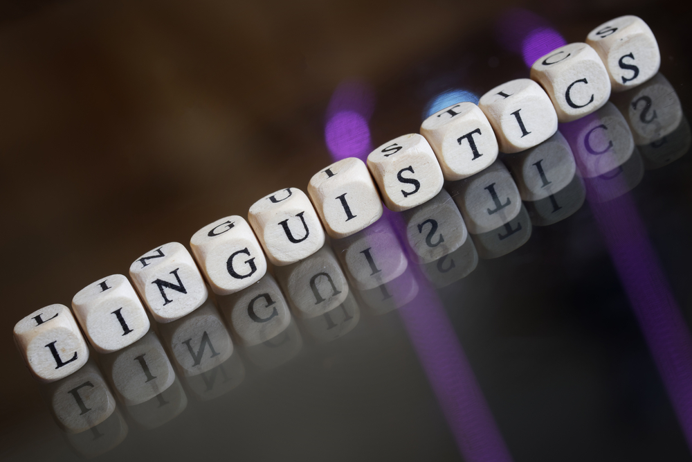 MA in Applied Linguistics at MIC