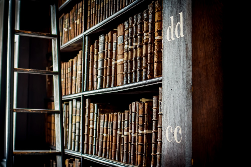 The annual conference of the International Association for the Study of Irish Literatures (IASIL) takes place at the University of Limerick, Ireland in July 2022 (25th-29th). The conference theme is Intersectional Irelands.