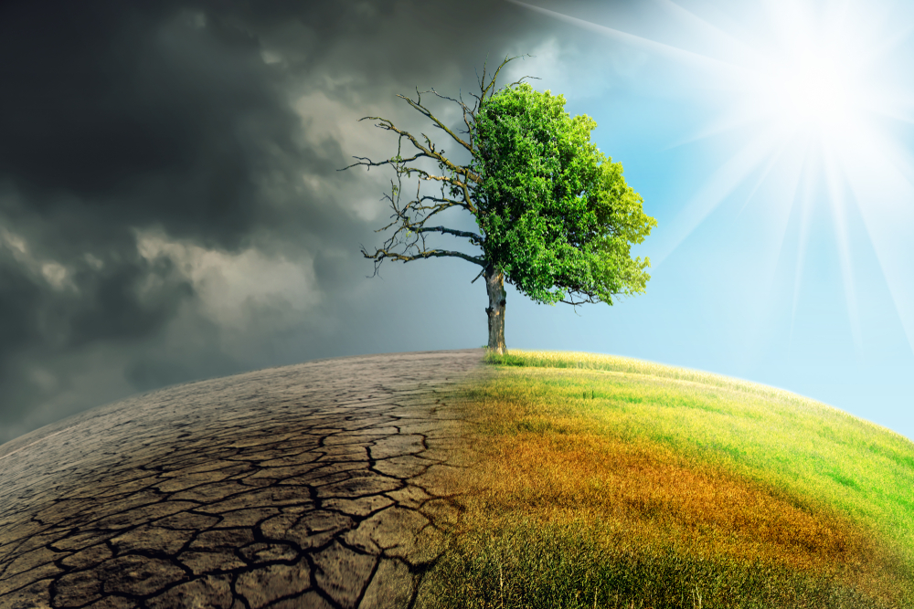 MSc in Climate Change: Policy, Media and Society at DCU Webinar