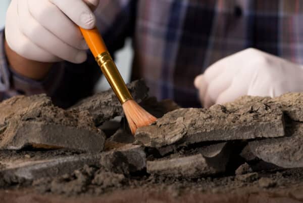 €1.2 million INSTAR+ archaeological research funding